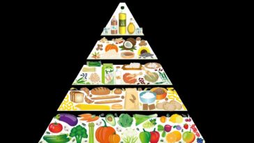 Piramida zdrave prehrane