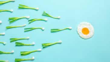 Hrana za plodnost muškarca