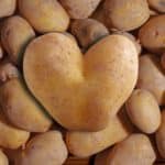 Nizozemske sorte krumpira