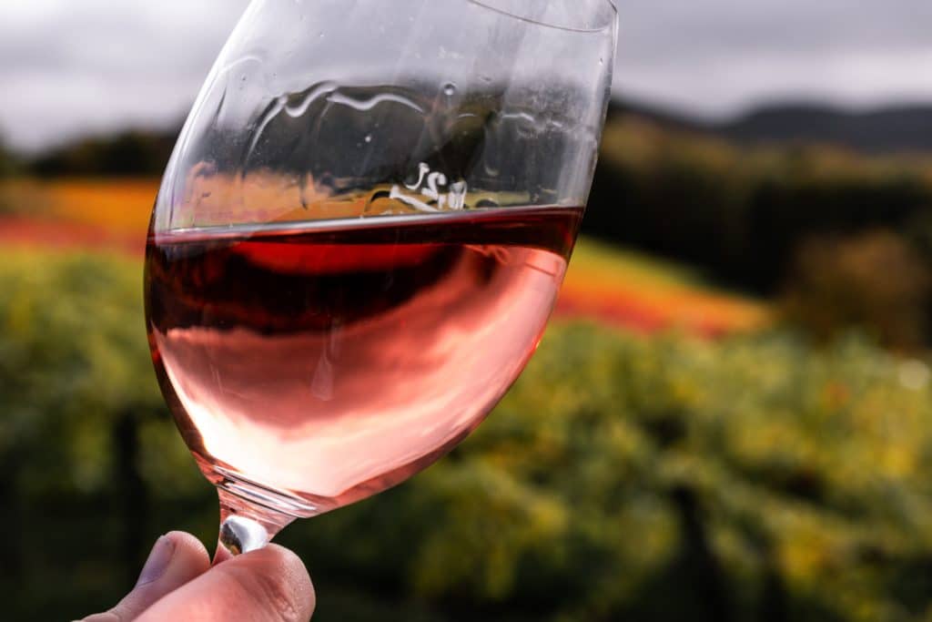 vinari, vinar, vinarstvo, proizvodnja vina, proizvodnja vlastitog vina, proces proizvodnje vina, vinarija, vinarije
