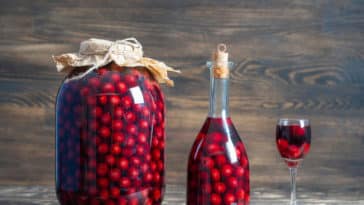 kako napraviti domaći liker