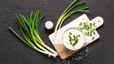 Kako iskoristiti kiselo vrhnje? 9 recepata za svaki dan