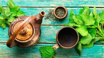 Kako napraviti čaj od koprive? 9 razloga zašto ga piti svaki dan