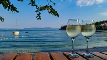 Kako odabrati kvalitetno vino? Donosimo 7 korisnih savjeta