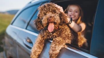 Kako spriječiti parazite kod ljubimaca? Donosimo 7 mjera