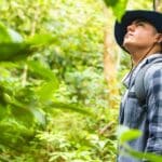 Kako stabla komuniciraju? Donosimo 13 fenomena u šumama