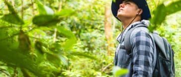 Kako stabla komuniciraju? Donosimo 13 fenomena u šumama